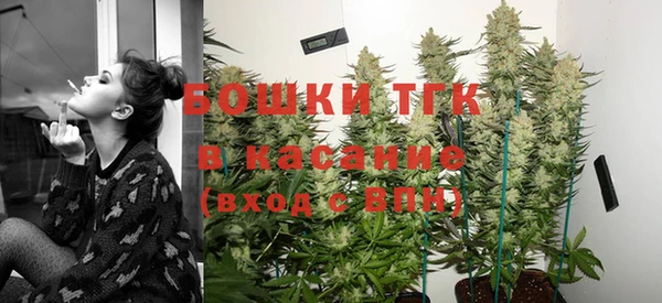 мдпв Пересвет