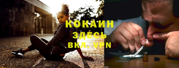 мдпв Пересвет