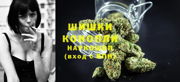 мдпв Пересвет